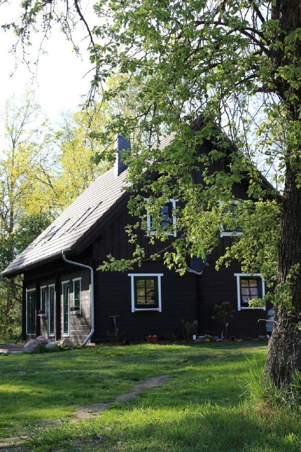 Apartamento Der Kolonist Burg  Exterior foto
